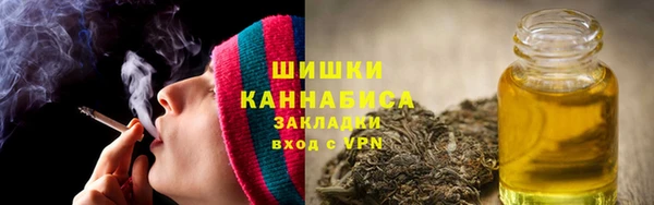 шишки Вязьма
