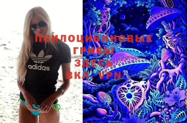 шишки Вязьма