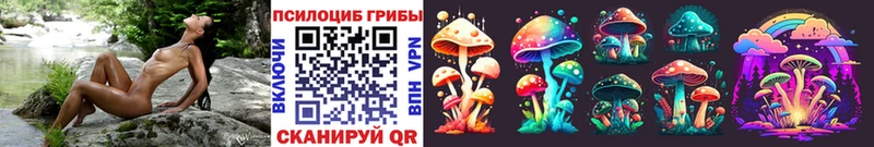 Купить  Кирово-Чепецк  Галлюциногенные грибы Cubensis 